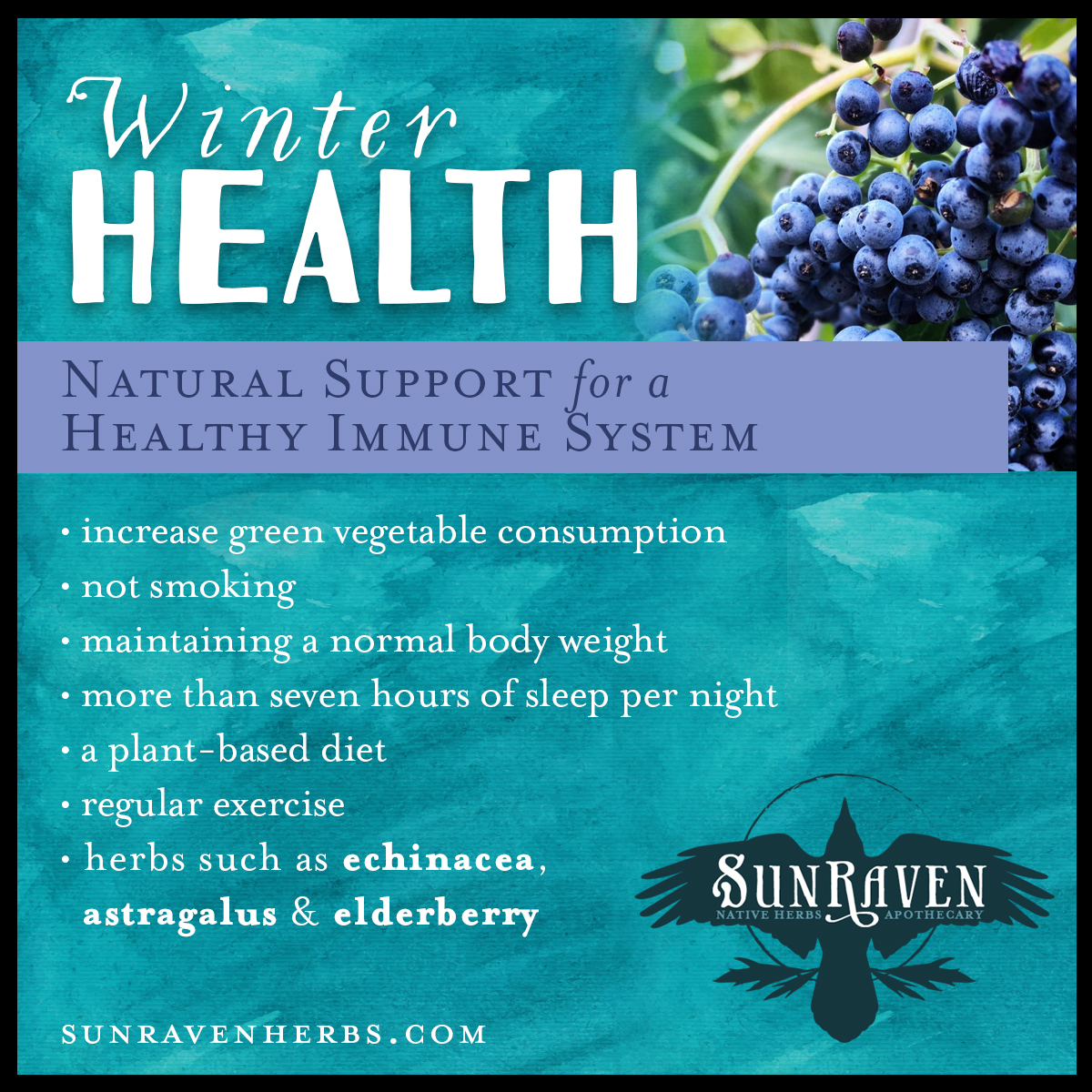 winter-health-immune